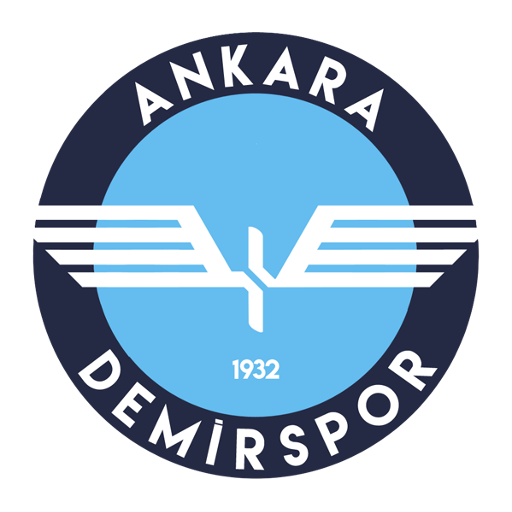 Ankara_Demirspor team