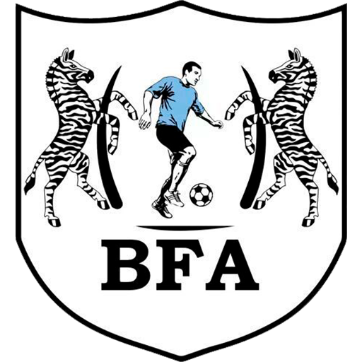 Botswana team