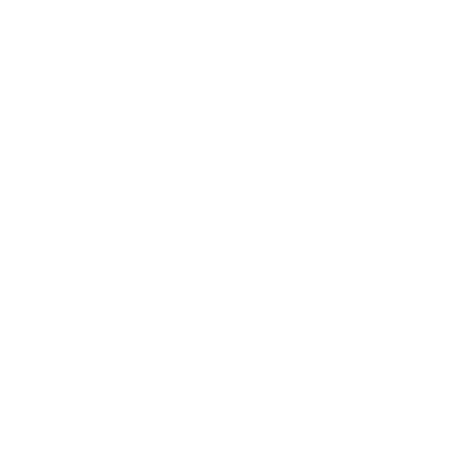 Juventus team