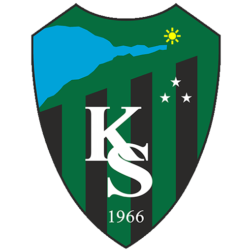 Kocaelispor team