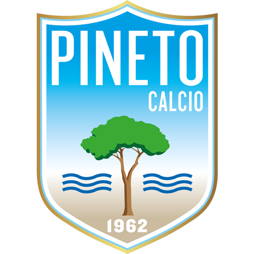 Pineto team