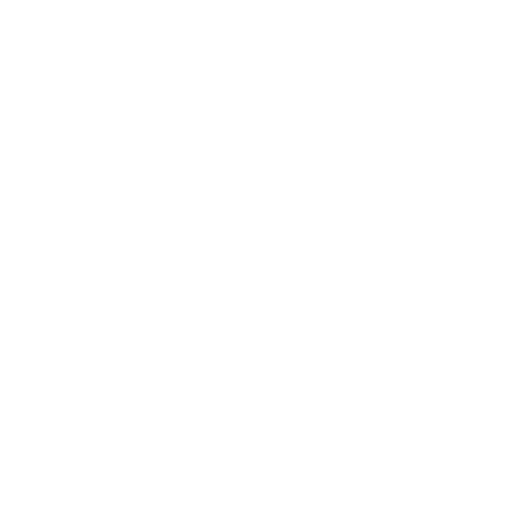 Randers_FC team