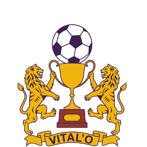 Vital'O team