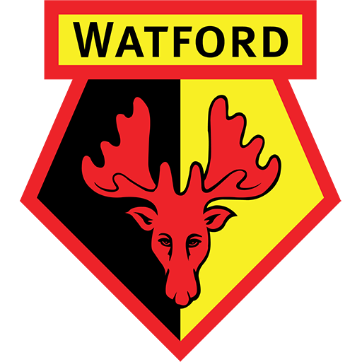 Watford team