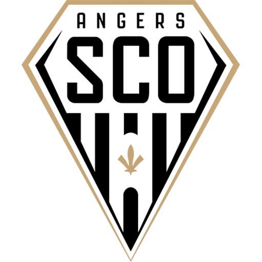 Angers team