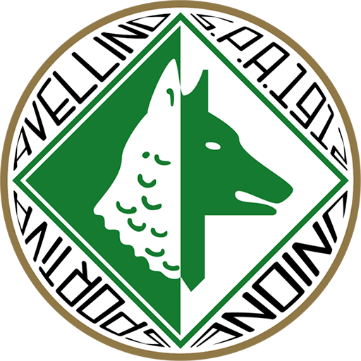 Avellino team