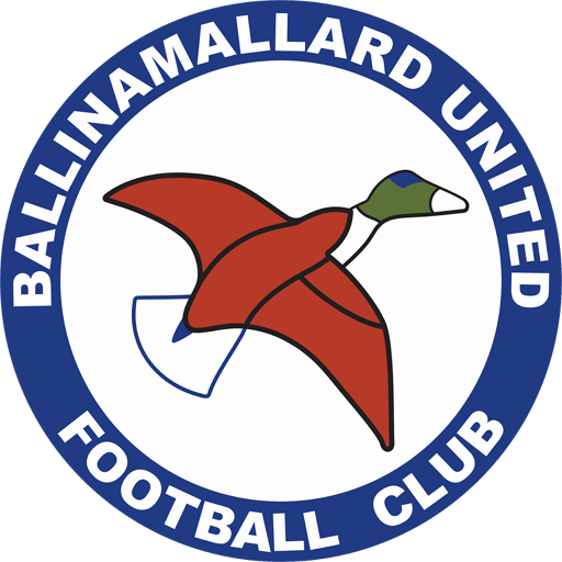 Ballinamallard_United team
