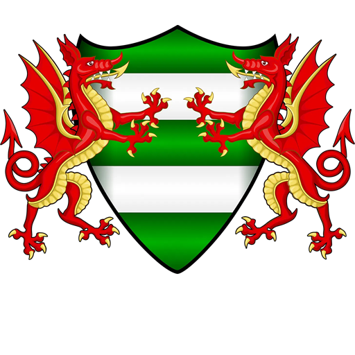 Brickfield_Rangers team