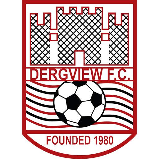 Dergview team