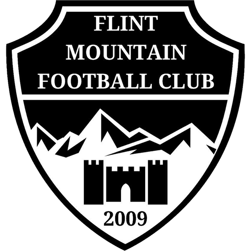 Flint_Mountain team