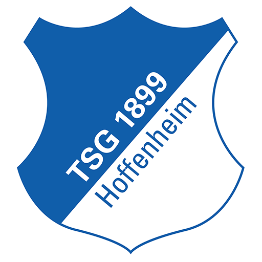 Hoffenheim team
