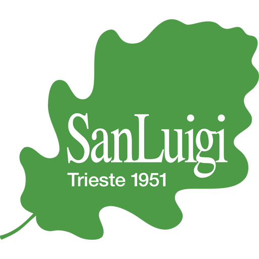 San_Luigi team