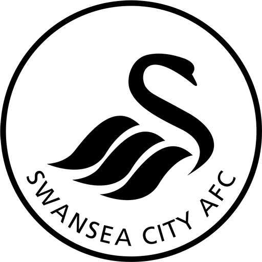 Swansea team