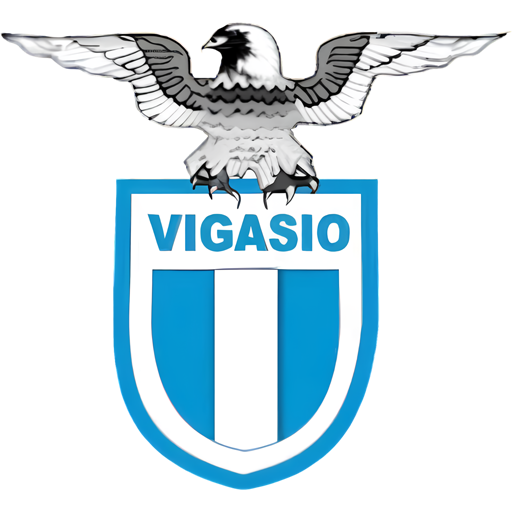 Vigasio team