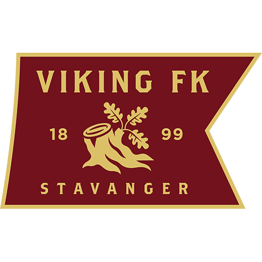 Viking team